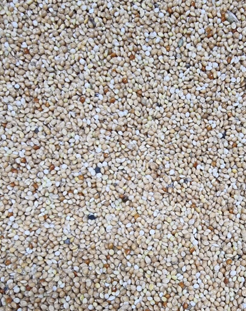 Picture Idea: Budgie Seed 1Kg